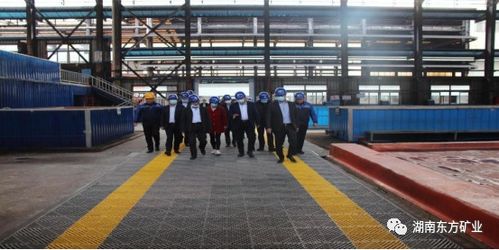 全國電解金屬錳創(chuàng)新聯(lián)盟成員單位參觀湖南東方礦業(yè)，共探金屬礦批發(fā)新機遇